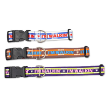 Load image into Gallery viewer, Wilco x Souldier I'm Walkin' Dog Collar
