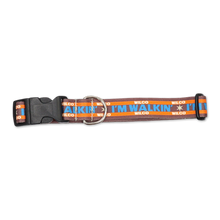 Load image into Gallery viewer, Wilco x Souldier I'm Walkin' Dog Collar
