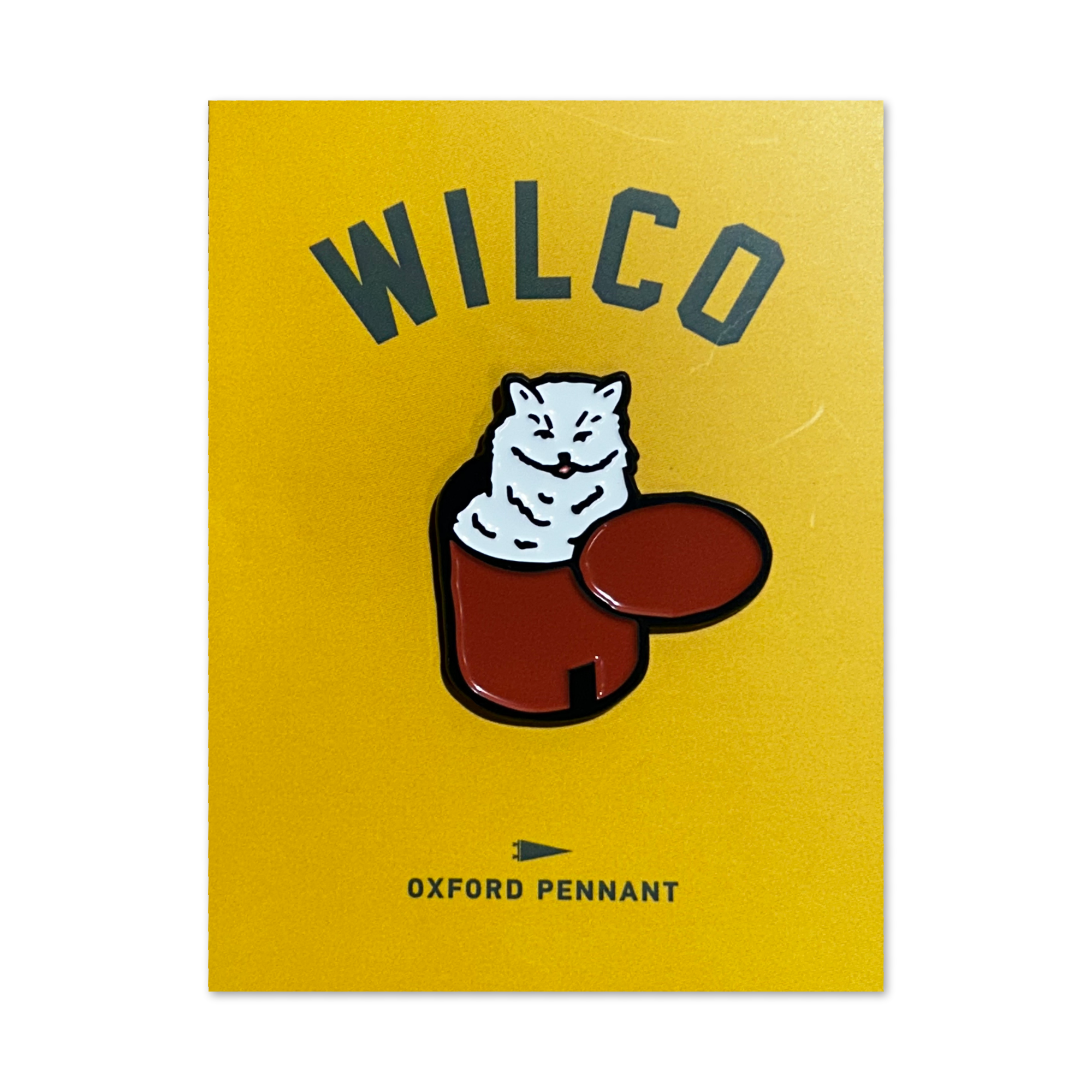 Cat in a Box Enamel Pin