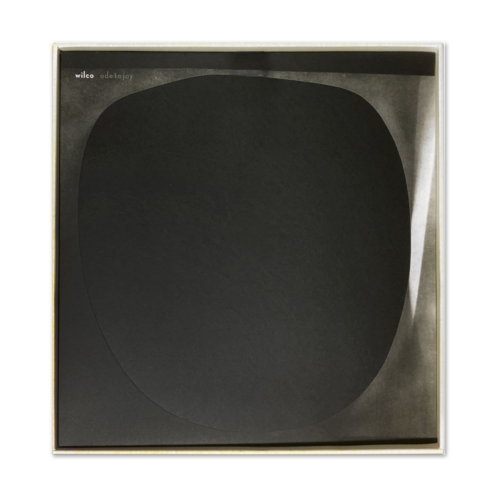 Ode to Joy (Alternate Cover) Vinyl LP