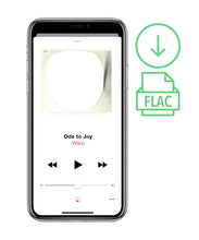 Load image into Gallery viewer, Ode to Joy Digital Download
